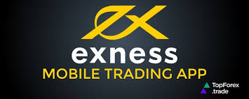 Comprehensive Guide to IB Exness Unlocking Earnings Beyond Trading