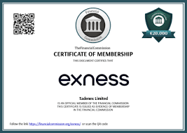 The Comprehensive Guide to Forex Exness Trading